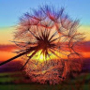 Meet your Posher, Myla4800